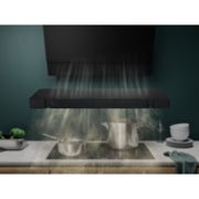 Electrolux ECFBPL02 Luktfilter