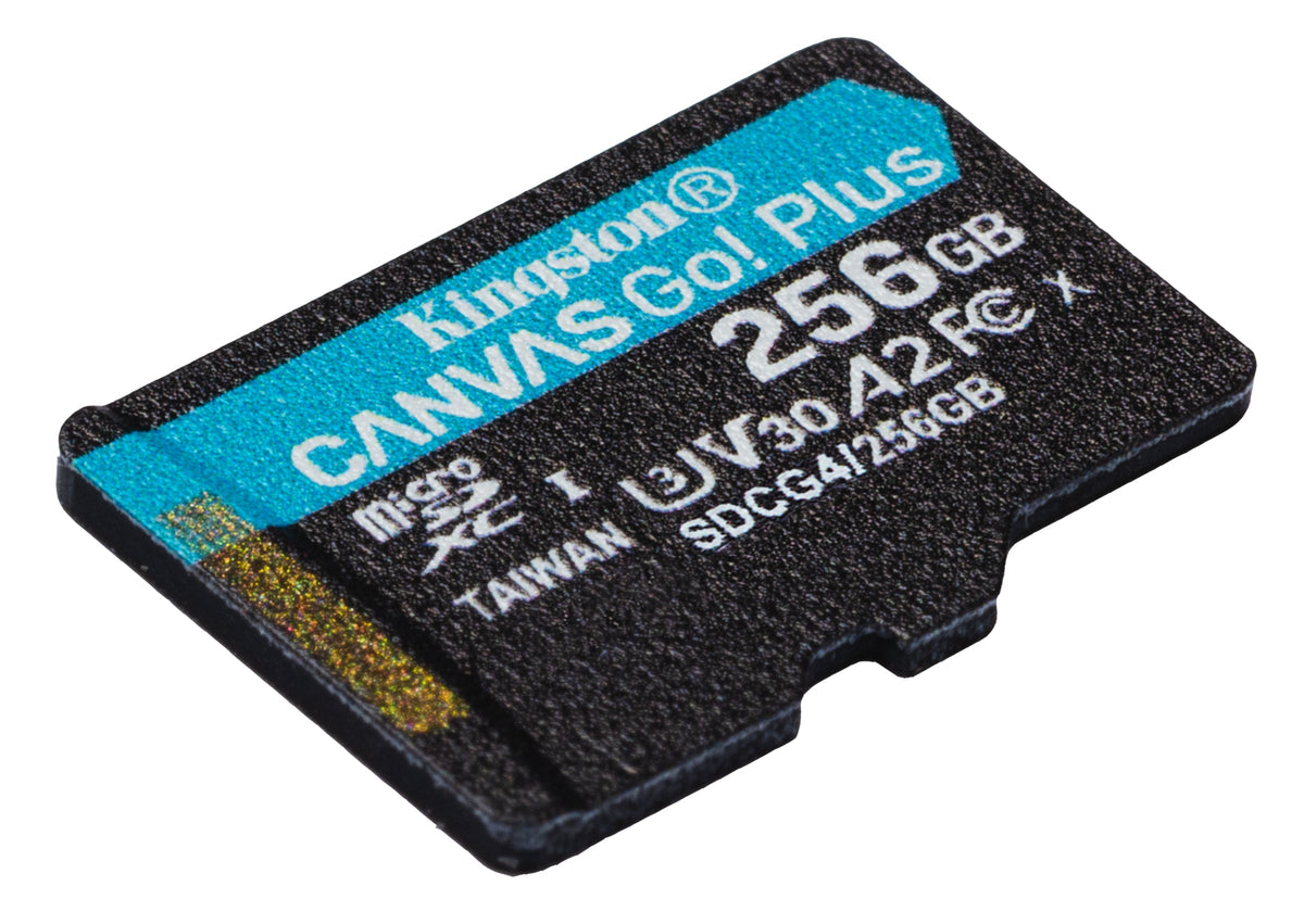 Kingston Technology Canvas Go! Plus flashminne, bild 2