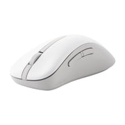 ASUS Wireless Mouse MD102 datormöss Universal högerhand Trådlös RF +