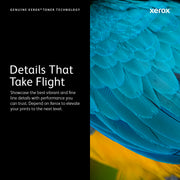 Xerox VersaLink C50X magenta trumma (40,000 sidor)