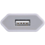 Techly IPW-USB-ECWW mobilladdare Universal Vit AC inomhus