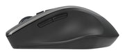 ASUS WT425 datormöss Kontor högerhand RF Trådlös Optisk 1600 DPI