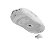 GENESIS Zircon 500 datormöss Spela högerhand RF Wireless +