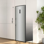 Gorenje FN619DAXL6 Frysskåp Fristående 280 l Grå