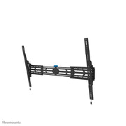 Neomounts WL35S-950BL19 tv-fäste 2,92 m