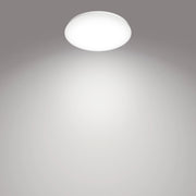 Philips Moire taklampa 17 W