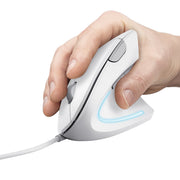 Trust Verto datormöss Kontor högerhand USB Type-A Optisk 1600 DPI