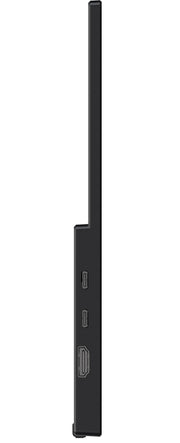 MSI PRO MP165DE E6 bärbar tv-apparat och monitor Bärbara monitor Svart