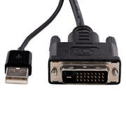 StarTech.com DVI till DisplayPort-adapter med USB-ström