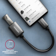 Axagon RUCM-AFAC kabelomvandlare (hane/hona) USB C USB A Grå