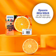 Epson Oranges 33 Apelsiner