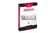 Kingston Technology FURY Renegade RAM-minnen