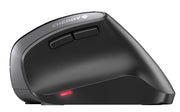 CHERRY MW 4500 datormöss Kontor högerhand RF Trådlös Optisk 1200 DPI
