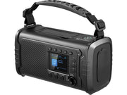 Sandberg 421-38 radioapparater Bärbar Analog och digital Svart