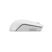 Lenovo 300 datormöss Kontor Ambidextrous RF Trådlös Optisk 1000 DPI