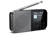 Sharp DR-P520 Personal Digital Grå