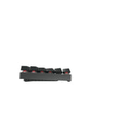 CHERRY MX 8.2 TKL Wireless RGB tangentbord Spela Trådlös RF +