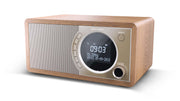 Sharp DR-450 Personal Digital Brun