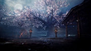 Sony Interactive Entertainment Nioh 2