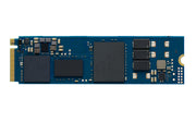 Kingston Technology DC2000B