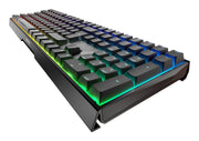 CHERRY MX 3.0S RGB tangentbord Spela USB QWERTZ tyska Svart