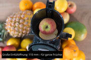 Unold 78275 SLOW JUICER Sam Långsam juicepress 300 W Kol