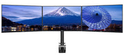 iiyama Desk Mount