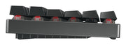 CHERRY MX 8.2 TKL Wireless RGB tangentbord Spela USB + RF Wireless +
