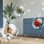 Philips 5000 series DE5305/11 avfuktare 4 l 54 dB Vit