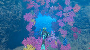 Nintendo Endless Ocean Luminous Standard Italienska Nintendo Switch