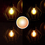 Trust 71300 smart belysning Smart glödlampa
