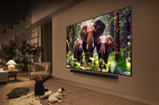 LG QNED 55QNED87A3B TV-apparat