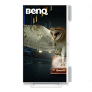 BenQ EW3290U