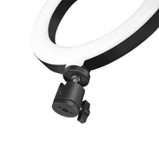 LogiLink AA0151 ljusringar 72 LED