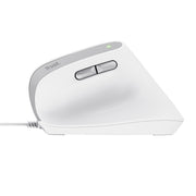 Trust Bayo II datormöss Kontor högerhand USB Type-A Optisk 2400 DPI