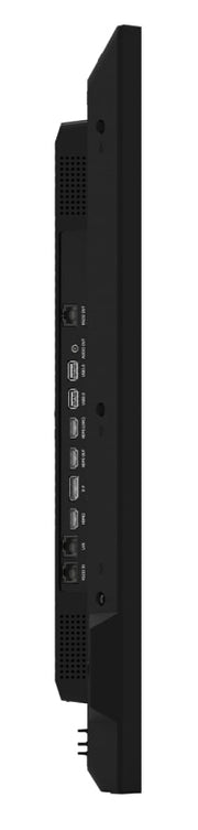 Hisense 55” 4K UHD IPS Digital Signage Display