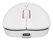 GENESIS Zircon XIII datormöss Spela Ambidextrous RF Wireless + USB Type-C Optisk