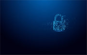 Kingston Technology IronKey Vault Privacy 50 USB-sticka