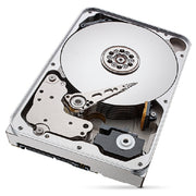 Seagate IronWolf Pro ST12000NT001 - 12 TB