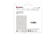 Kingston Technology DataTraveler Kyson USB-sticka