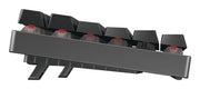 CHERRY MX 8.2 TKL Wireless RGB tangentbord Spela USB + RF Wireless +