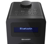 Sharp DR-430 Personal Digital Svart