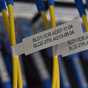 Brother PT-E920BT etikettskrivare Termal transfer 360 x 360 DPI 20 mm/sek Trådlös TZe