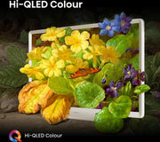Hisense 32S5Q