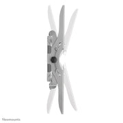 Neomounts PLASMA-W200 tv-fäste 2,16 m