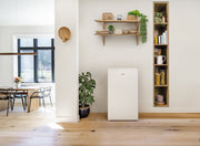 Gorenje RB39EPW4 kombinerat kylskåp Fristående 82 l Vit
