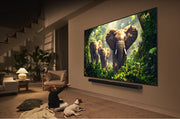 LG QNED 55QNED87A3B TV-apparat