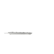 CHERRY KC 6000C FOR MAC tangentbord Universal USB QWERTZ tyska Silver