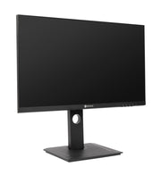 AG Neovo DW2401