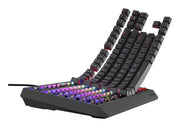 GENESIS Thor 230 TKL tangentbord Spela USB QWERTY Engelska (USA) Svart